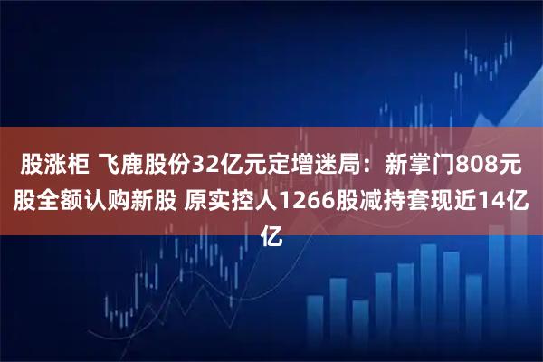 股涨柜 飞鹿股份32亿元定增迷局：新掌门808元股全额认购新股 原实控人1266股减持套现近14亿